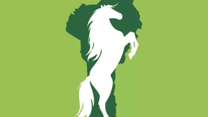 COMMUNALES DU 17 MAI PROCHAIN : La cité impériale adopte le cheval cabré  .Voici les raisons