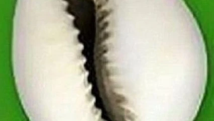 ÉDITO : Entre honneur et devoir ?