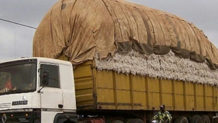 COMMUNE DE BANIKOARA : Un individu détourne 4 tonnes de coton graine