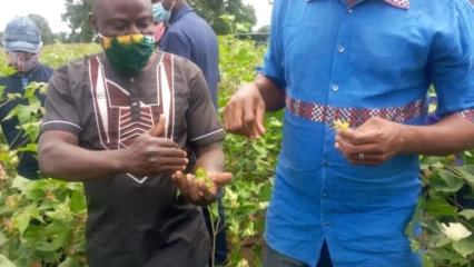 CAMPAGNE COTONNIÈRE 2020-2021 AU BÉNIN : La Fn-Cvpc veille au grain pour l&rsquo;atteinte de 850.000 t de coton graine
