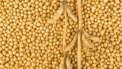 LUTTE CONTRE LA SORTIE FRAUDULEUSE DU SOJA : Un militaire tué à Cobly