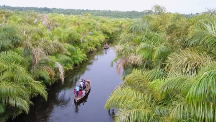 Commune d&rsquo;adjarra:terre d’opportunités et de découvertes
