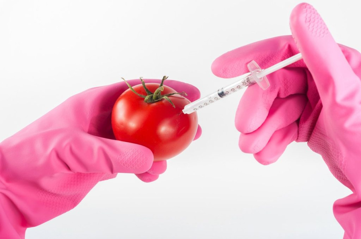 SANTÉ/PRODUITS AVEC DES ORGANISMES GÉNÉTIQUEMENT MODIFIÉS (OGM) : La consommation à vau-l’eau qui tue silencieusement !  . Les conseils du médecin biologiste Souaibou Orou Sirikou