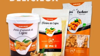 TOLARO GLOBAL SAS :  Le royaume des délices à découvrir absolument