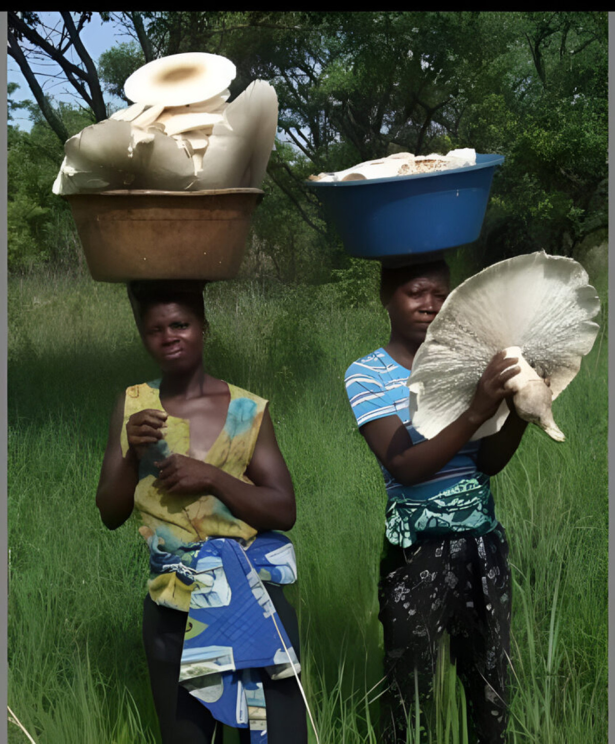 BÉNIN/DANS UNE INTERVIEW EXCLUSIVE SUR LE PROJET FC-SSA  :  Prof Nourou Soulemane Yorou appelle les décideurs pour des actions en faveur des champignons   . La stabilité des écosystèmes forestiers préoccupe 