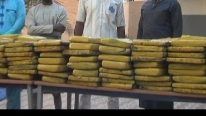 NIGER : 278,01 Kg de cannabis saisis à Niamey