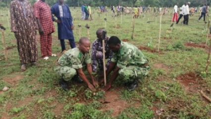 CÉLÉBRATION DE LA JOURNÉE NATIONALE DE L&rsquo;ARBRE : 1 500 plants mis en terre à Péhunco