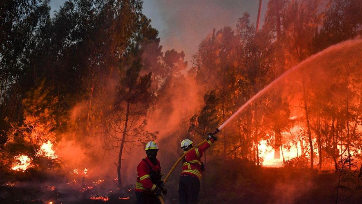 PORTUGAL : Près de 3000 hectares de végétation ravagés par des incendies