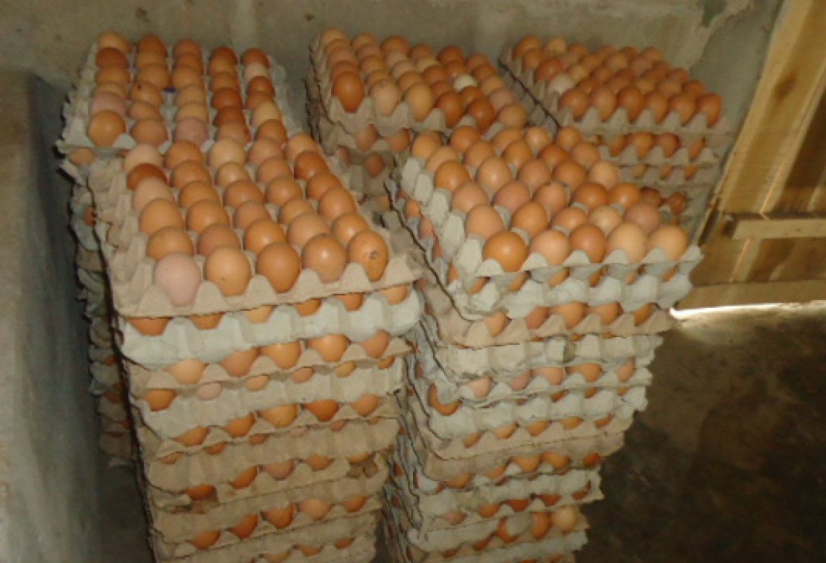 PARAKOU : Des plateaux d&rsquo;œufs avariés arraisonnés