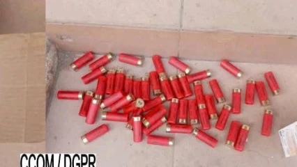 Commune de Tchaourou: 500 munitions de calibre 12 saisies