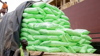 Achats d&rsquo;intrants agricoles pour la campagne 2025-2026: Le gouvernement veut subventionner à hauteur de 26 milliards Fcfa 