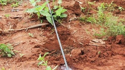 TROIS ANS DE MISE EN ŒUVRE DES REFORMES DANS LE SECTEUR DU FONCIER : Que retenir dans le Borgou et l’Alibori ?