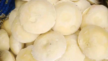 BEURRE DE KARITÉ : Processus de fabrication artisanale et vertus d&rsquo;un fruit atypique