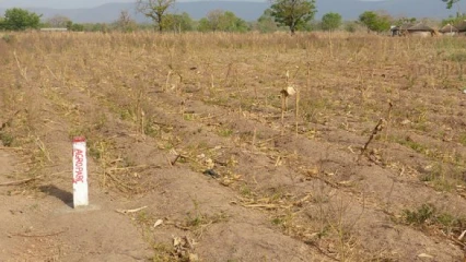 BENIN/OPÉRATIONS DE LOTISSEMENT ET DE REMEMBREMENT FONCIER URBAIN : 1 599 dossiers traités révèlent de nombreuses irrégularités