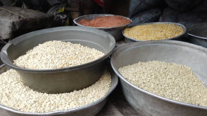 MONTÉE EN FLÈCHE DU PRIX DU MAÏS AU BÉNIN : Des populations font des suggestions au gouvernement