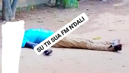 N&rsquo;DALI   :   Un homme meurt électrocuté sur un arbre 