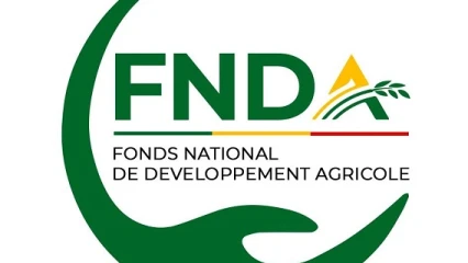 AGRÉMENT D&rsquo;ÉTABLISSEMENT FINANCIER DE CAUTIONNEMENT : Le processus d’obtention au profit du Fnda lancé