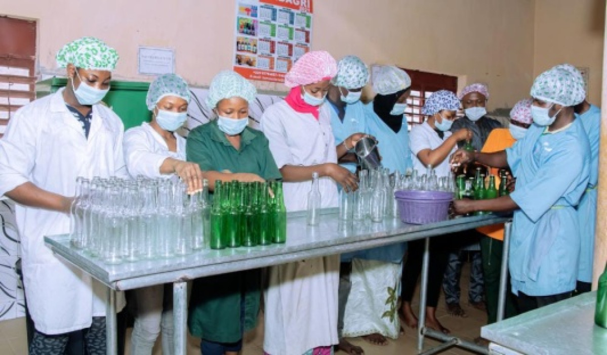 PROMOTION DE L&rsquo;AUTO-EMPLOI : Amdagri offre cinq bourses de formation en agroalimentaire