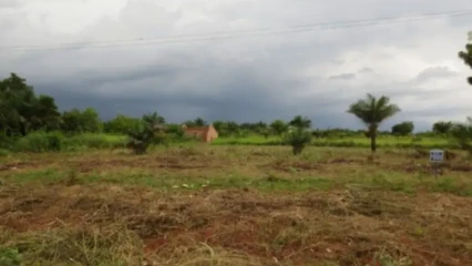 Bénin/acquisition de terre en milieu rural: il faut désormais justifier ses sources de revenus
