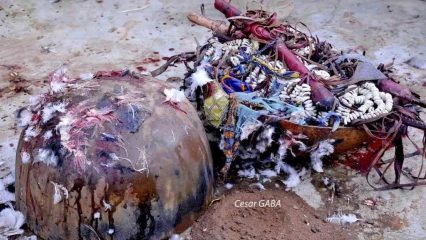 RELIGIONS ENDOGENES AU BENIN : Zoom sur quelques divinités “Bun” adorées en milieu Baatonu