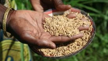 CONSOMMATION LOCALE AU BENIN : Un facteur de développement encore sous-estimé