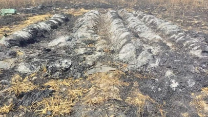 INCENDIE À BEMBÉRÈKÈ : 11 hectares de cultures brûlés dans un champ