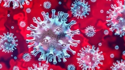 SANTÉ : Coronavirus, une Mst ?