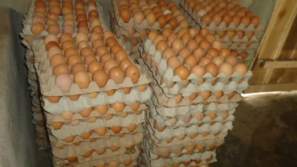 PARAKOU : Des plateaux d’œufs avariés arraisonnés