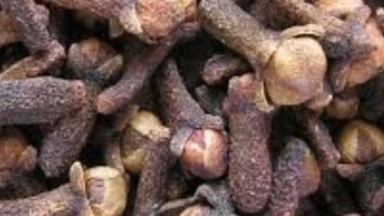 CLOU DE GIROFLE : L’épice qui soigne