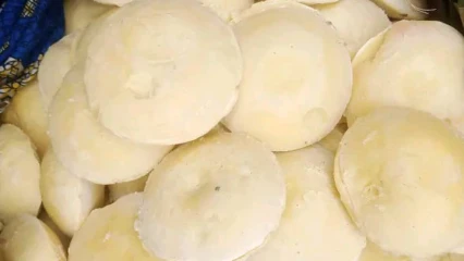 BEURRE DE KARITÉ : Processus de fabrication artisanale et vertus d&rsquo;un fruit atypique