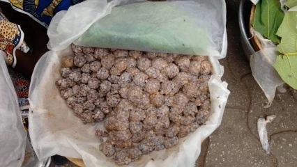 Face à la rareté de la matière première, le « Sonrou », moutarde de néré de plus en plus cher sur le marché 