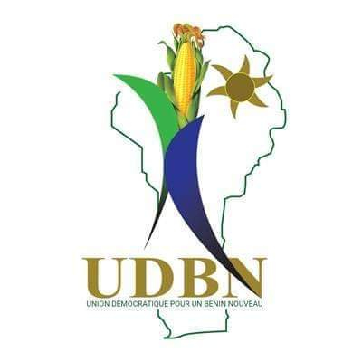 UNION DEMOCRATIQUE POUR UN BENIN NOUVEAU (UDBN) : La présidente Silvie de Chacus relevée de ses fonctions . Un comité de 5 membres mis sur pied