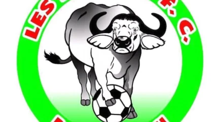 VITALOR LIGUE 1 ET 2 : Buffles et Réal, toujours invincibles  . Zazira en difficulté