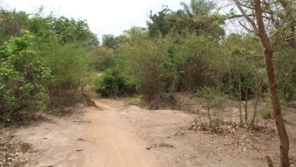 ÉCROULEMENT DU PONT DU FLEUVE OKPARA À BONROU : Les populations de Pèrèrè ont le dos au mur