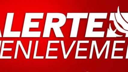 URGENT / NOUVELLE INCURSION DES DJIHADISTES DANS DEUX VILLAGES DE MONSEY À KARIMAMA :  Deux individus enlevés dont le grand frère du Chef d’Arrondissement