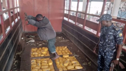 BÉNIN/SAISIE DE 2 388 BOULES DE DROGUE À SÈMÈ-KRAKÉ : Le commandant Bienvenu Mayaba et son équipe réalisent un exploit
