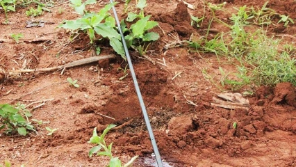 TROIS ANS DE MISE EN ŒUVRE DES REFORMES DANS LE SECTEUR DU FONCIER : Que retenir dans le Borgou et l’Alibori ?