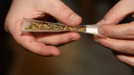 ALLEMAGNE :  La consommation de cannabis autorisée 