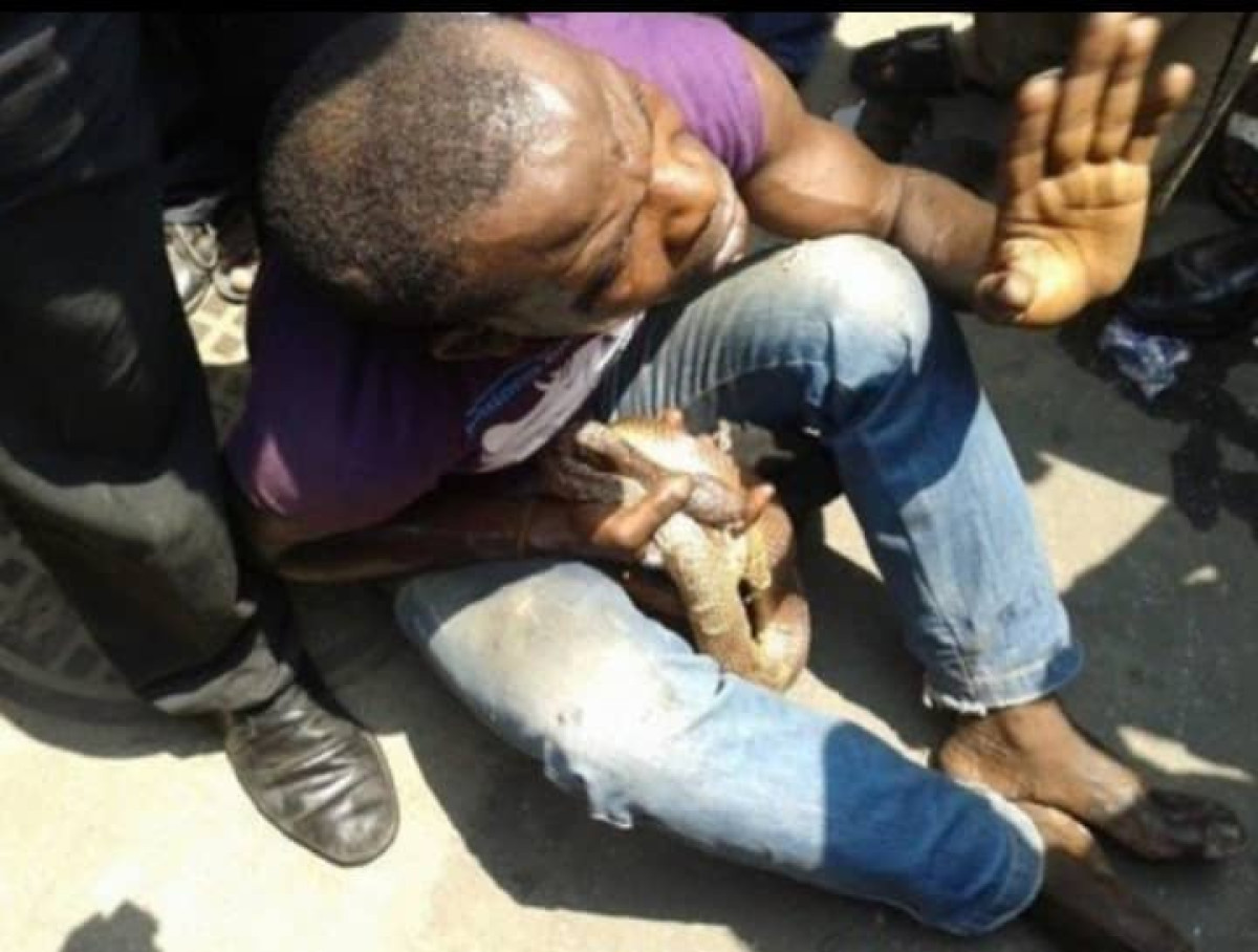 INSOLITE : Un portefeuille volé se transforme en serpent