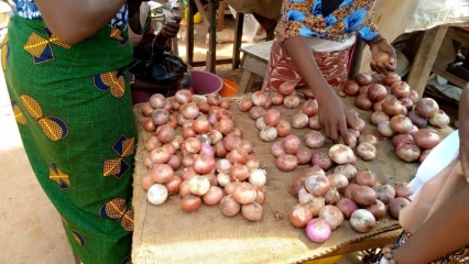 FLAMBÉE DU PRIX DE L&rsquo;OIGNON À PARAKOU : Consommateurs et revendeurs se plaignent