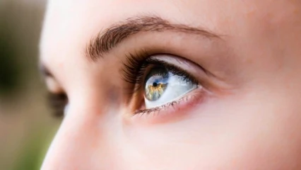 CURIOSITÉ SCIENTIFIQUE : Découverte d’une femme aux yeux étranges