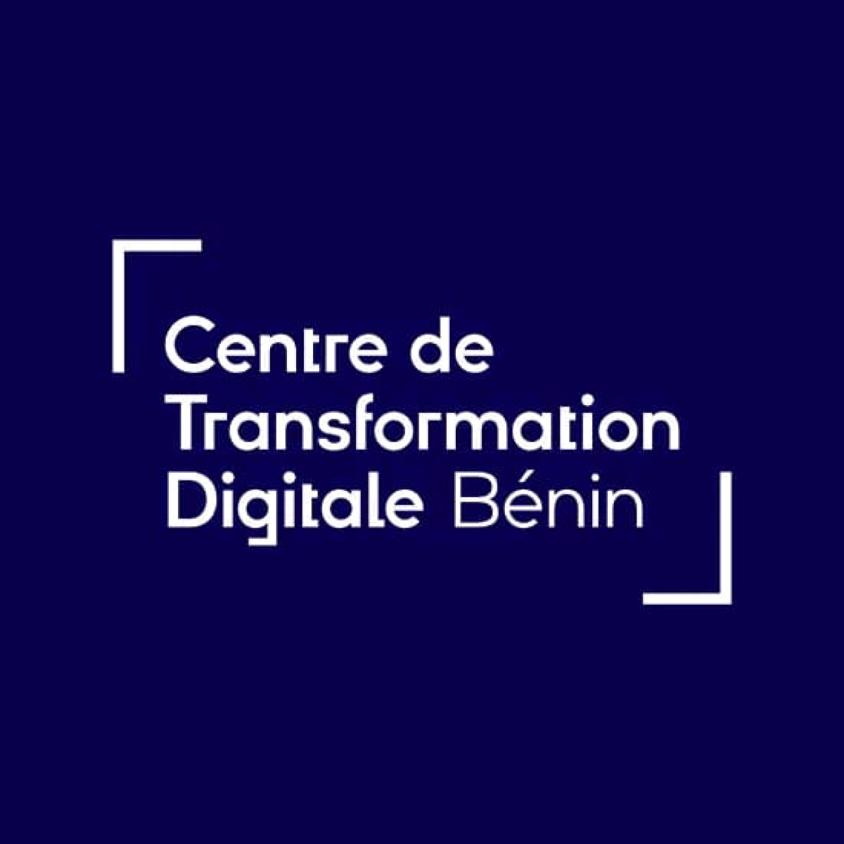 POUR LE DÉVELOPPEMENT DES ENTREPRENEURS DIGITAUX AU BÉNIN : Le Centre de Transformation Digitale lance un appel à candidature