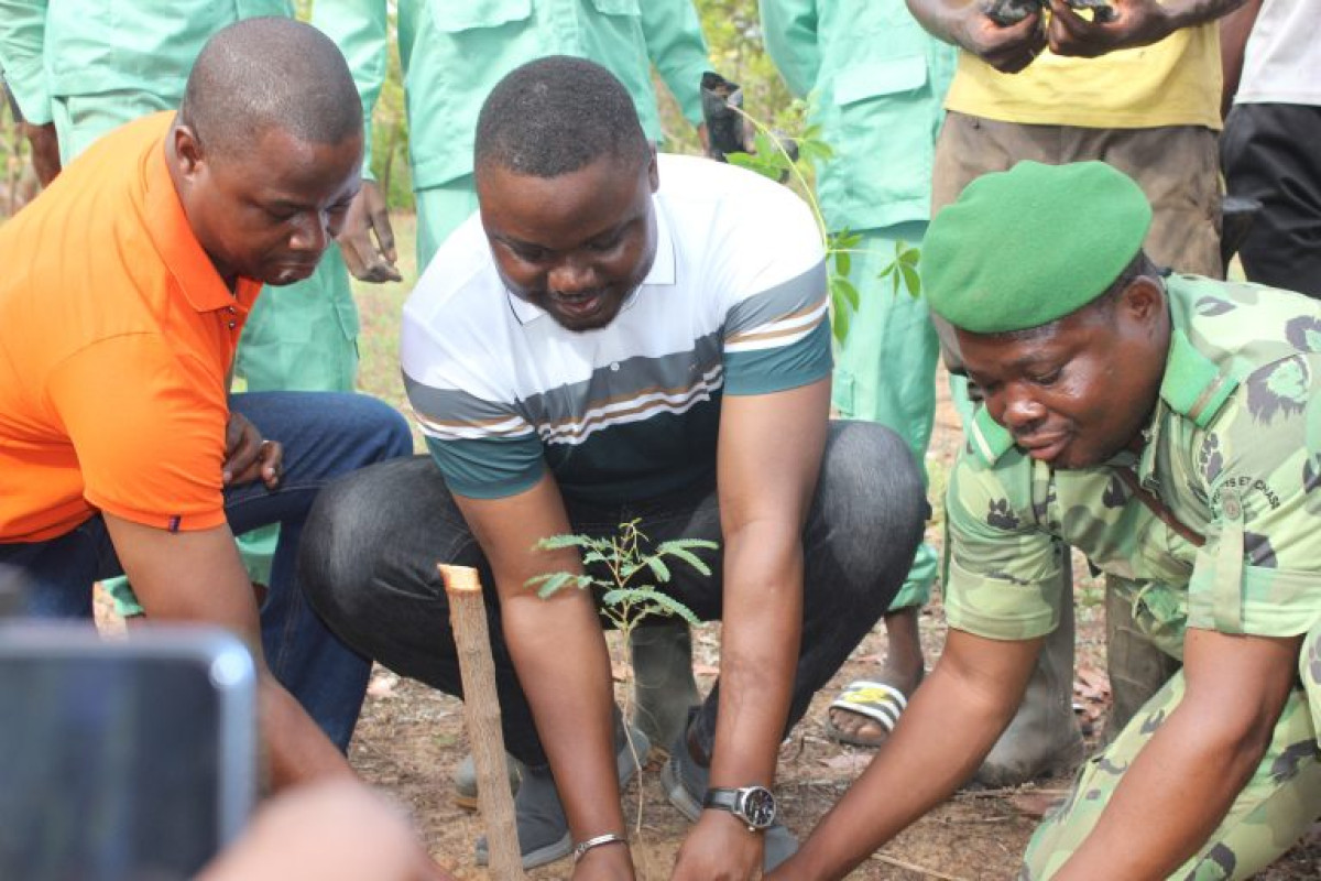 LUTTE CONTRE LA DÉSERTIFICATION DANS L’ALIBORI  : 2 058 plants mis en terre à Banikoara