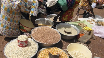 REVERS DU COMMERCE INTER-VILLES AU BÉNIN : La dignité féminine sacrifiée sur l’autel de l’autonomie financière!