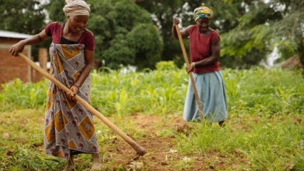 FEMMES RURALES EN AFRIQUE : Le dos large sur lequel reposent la famille et le développement