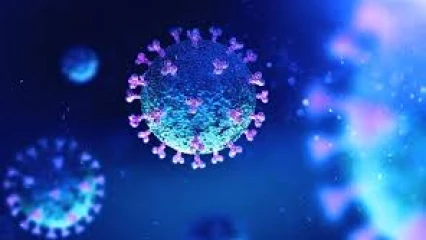 ALLEGEMENT DES MESURES DE PREVENTION DE LA PROPAGATION DU CORONAVIRUS : Le Bénin saute le verrou le 2 juin prochain . Lieux de culte, bars et transports en commun reprennent vie