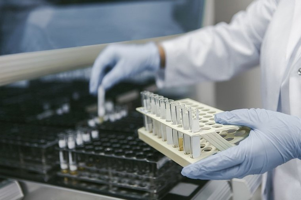 RESTRUCTURATION DU SECTEUR DE LA RECHERCHE AU BÉNIN   Le gouvernement crée l&rsquo;Agence béninoise pour la Recherche et l&rsquo;Innovation 