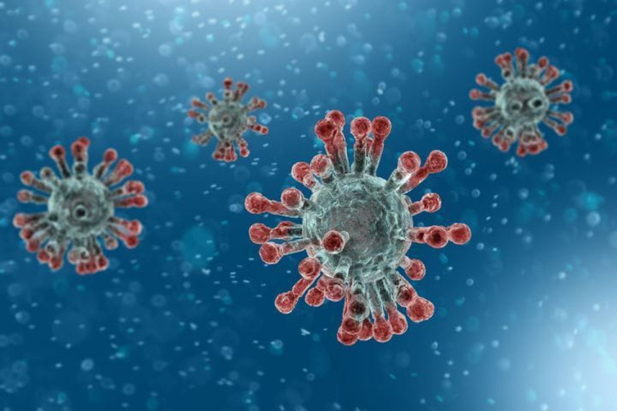 CORONAVIRUS  : Le Niger enregistre son premier cas