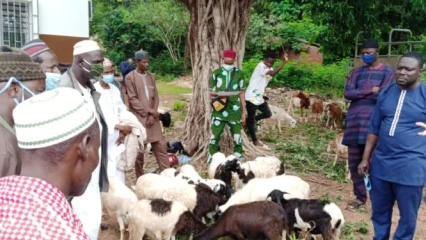 PROMOTION DE L&rsquo;ELEVAGE DANS LE SEPTENTRION : Le président de l&rsquo;Apess Mama Sambo offre des kits ovins aux éleveurs