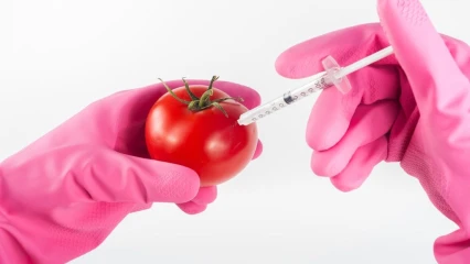 SANTÉ/PRODUITS AVEC DES ORGANISMES GÉNÉTIQUEMENT MODIFIÉS (OGM) : La consommation à vau-l’eau qui tue silencieusement !  . Les conseils du médecin biologiste Souaibou Orou Sirikou